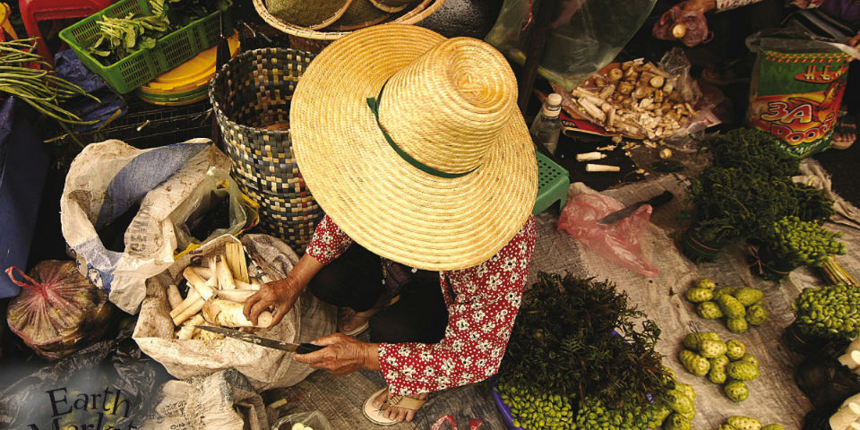 La agricultura y pesca en el Sureste Mexicano